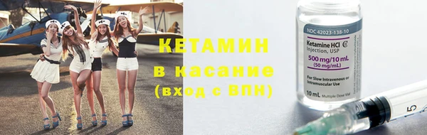 шишки Аркадак