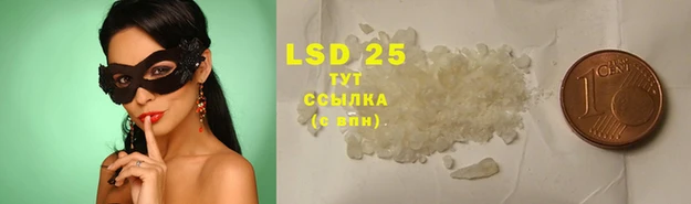 прущие грибы Семикаракорск