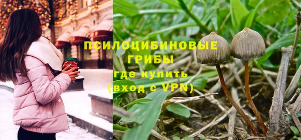 шишки Аркадак