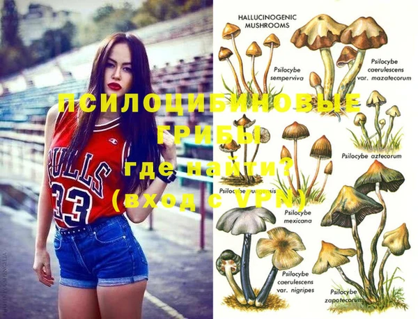 шишки Аркадак