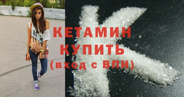 шишки Аркадак