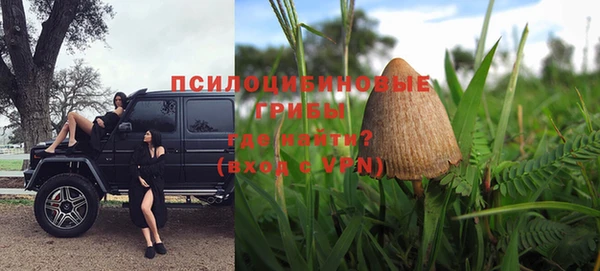 шишки Аркадак