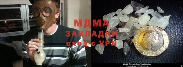 шишки Аркадак