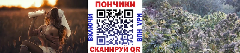 даркнет телеграм  закладка  Верхняя Салда  Конопля White Widow 